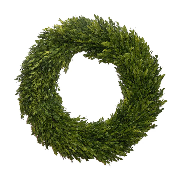 Round Boxwood Wreath 24"