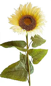 28 inch Single Cream Sunflower Stem