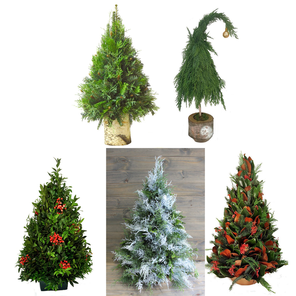 Holiday Trees - Many Styles & Sizes Available