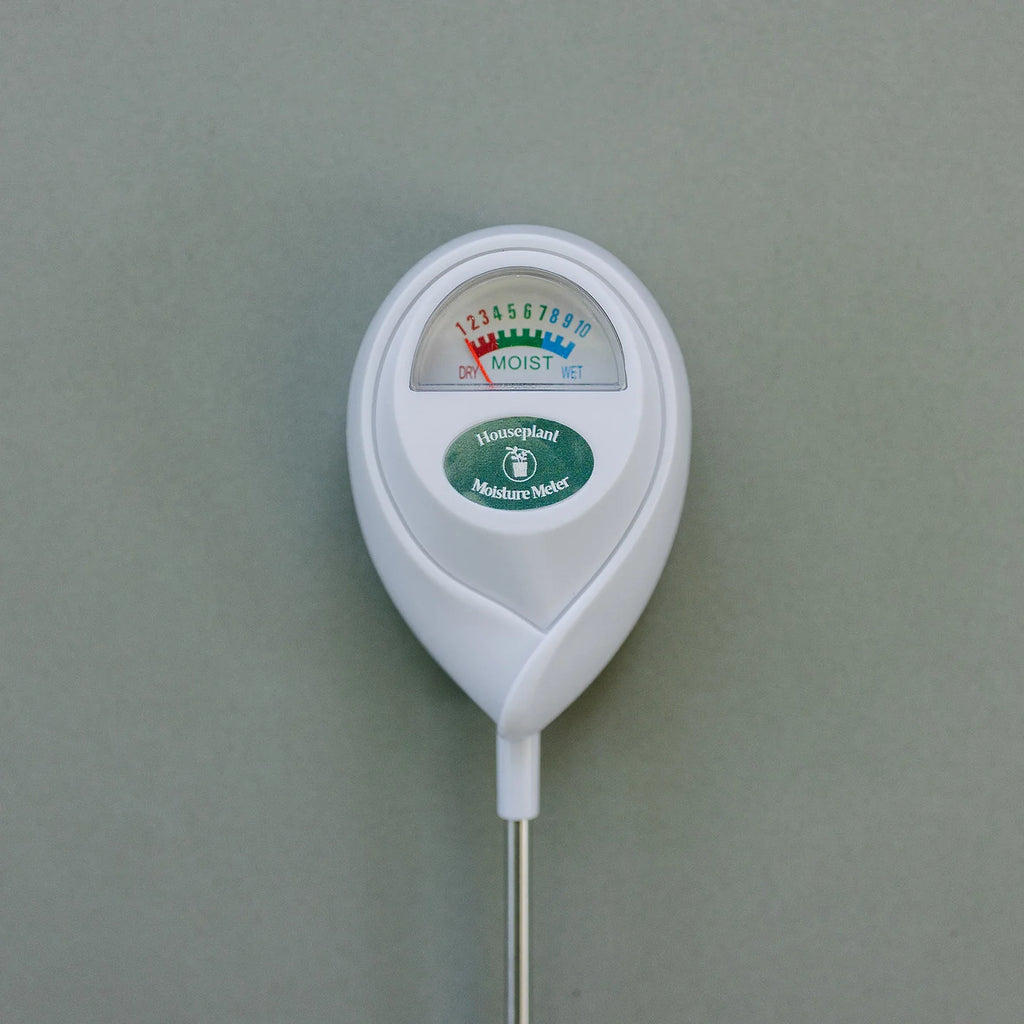 Houseplant Moisture Meter