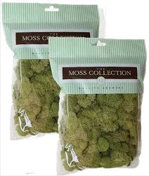 Reindeer Chartreuse Moss