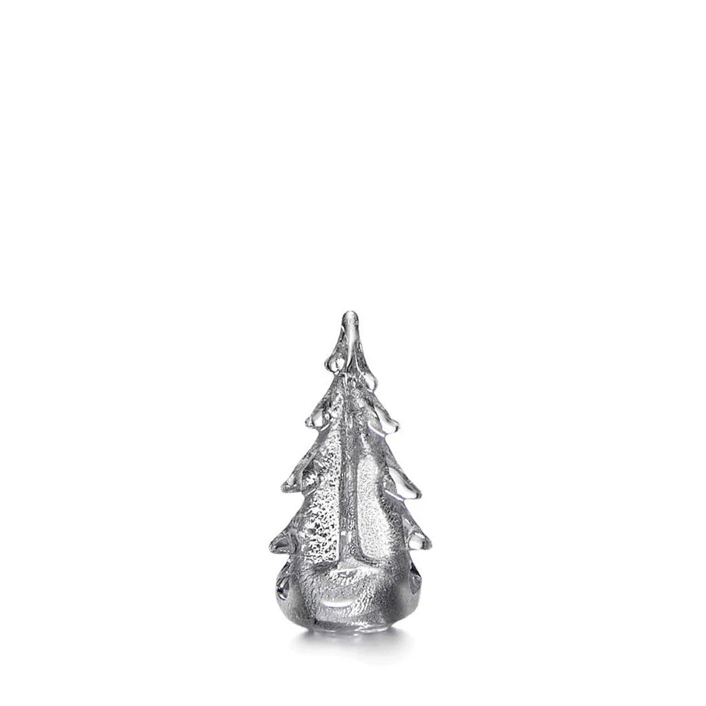 Silver Leaf Evergreen 6"