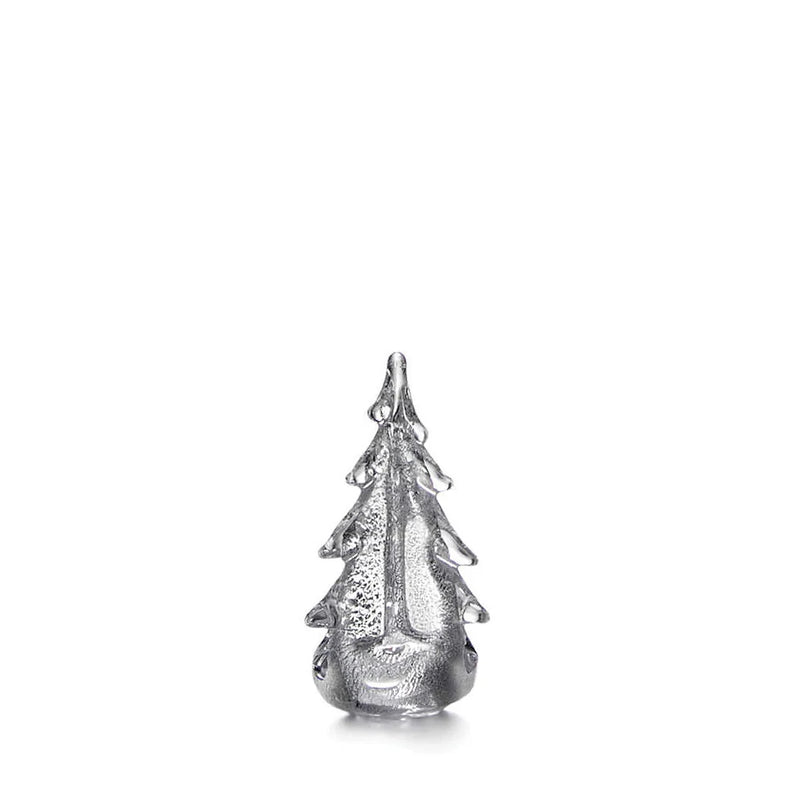 Silver Leaf Evergreen 6"