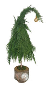 Holiday Trees - Many Styles & Sizes Available